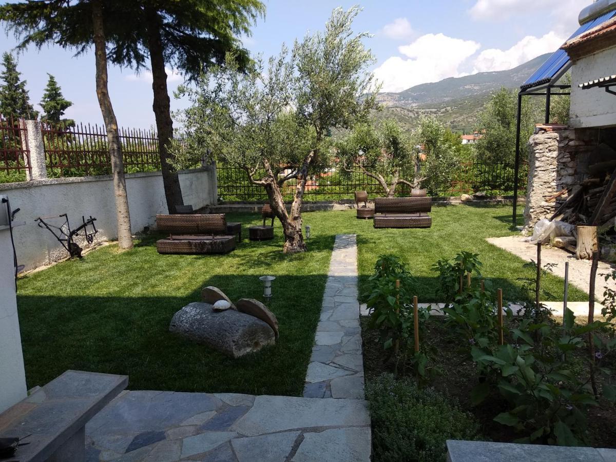 Villa Agnanti Apts&Suites Agio Pnevma Esterno foto