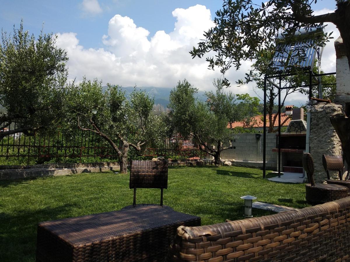 Villa Agnanti Apts&Suites Agio Pnevma Esterno foto