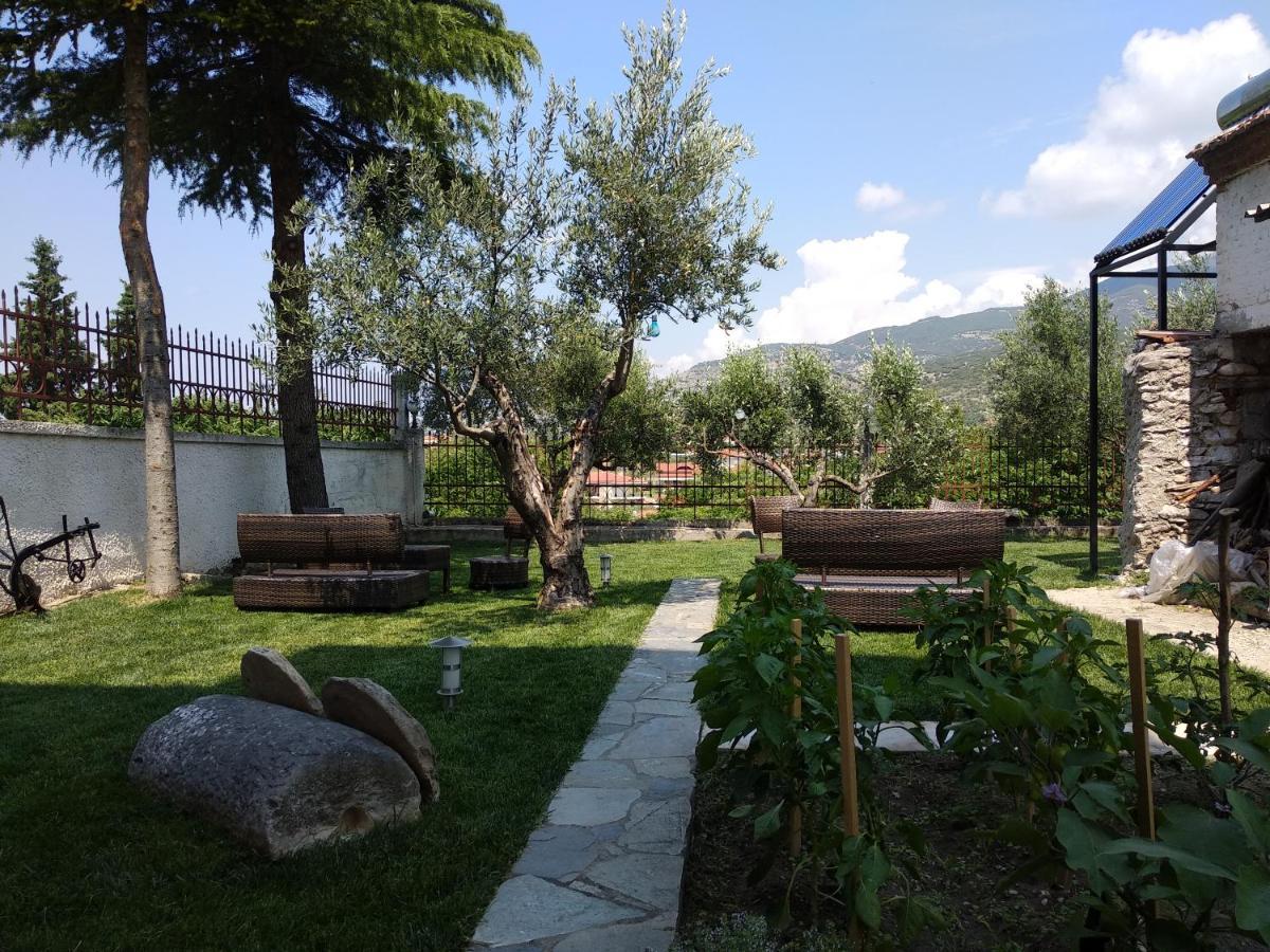 Villa Agnanti Apts&Suites Agio Pnevma Esterno foto